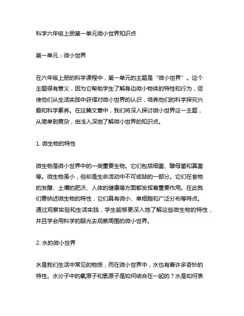 科学六年级上册第一单元微小世界知识点