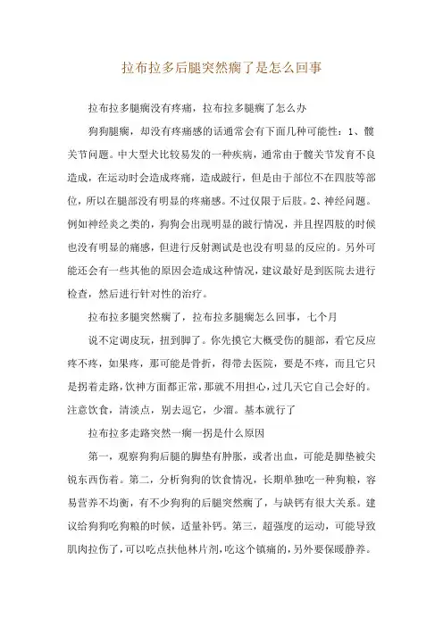 拉布拉多后腿突然瘸了是怎么回事
