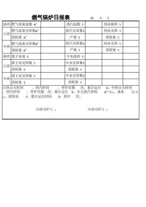 燃气锅炉日报表