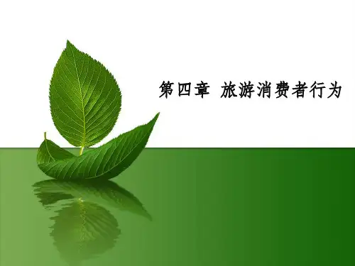 第4章旅游消费者行为ppt课件