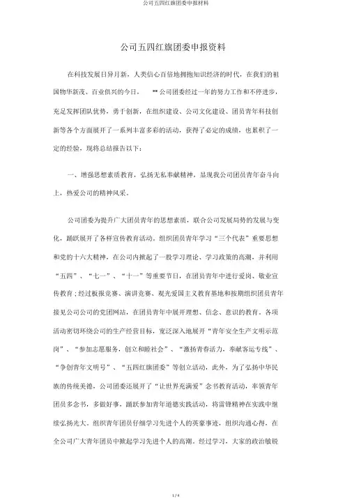 公司五四红旗团委申报材料