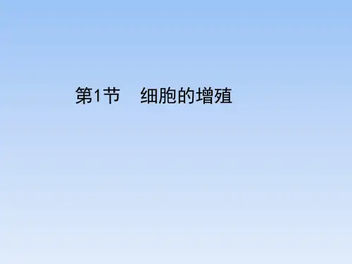 人教课标版高中生物必修1《细胞的增殖》精品课件