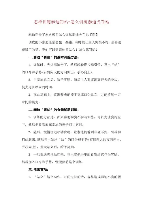 怎样训练泰迪罚站-怎么训练泰迪犬罚站