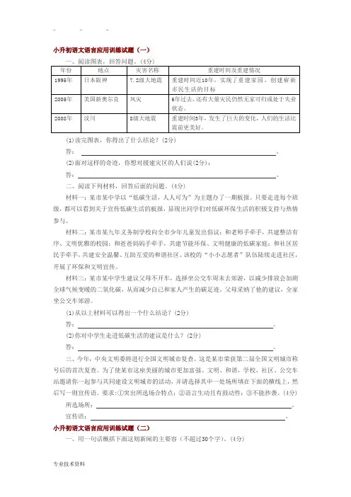 小升初语文语言应用训练试题