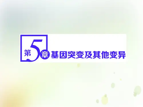 2020_2021学年新教材高中生物第5章基因突变及其他变异第1节基因突变和基因重组