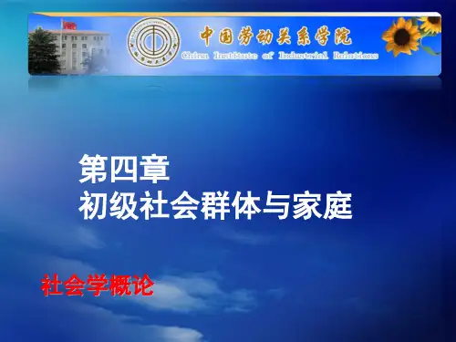 初级社会群体与家庭