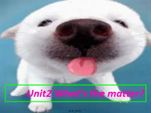 八年级英语上册unit2课件人教版