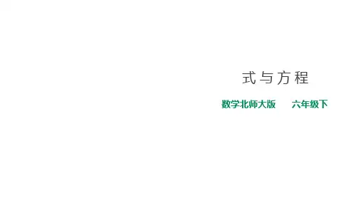 北师大版小学数学小升初专题复习第七课时《式与方程》(课件)