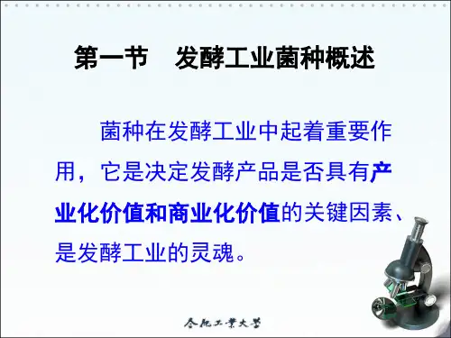 发酵工业菌种概述