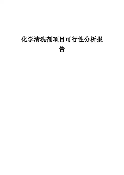 2024年化学清洗剂项目可行性分析报告