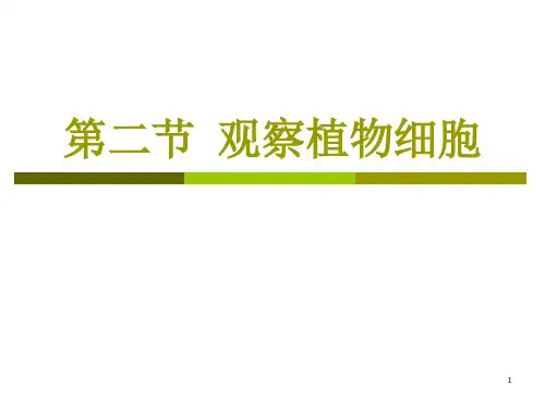 人教版生物七年级上册第二节《 观察植物细胞》PPT课件