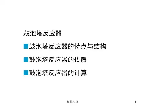 鼓泡塔反应器设计[荟萃知识]