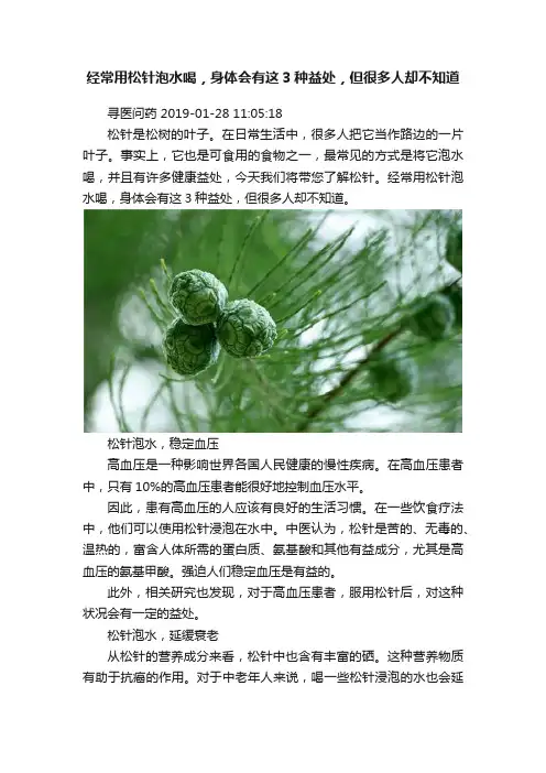 经常用松针泡水喝，身体会有这3种益处，但很多人却不知道