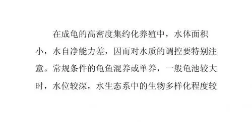 龟养殖中的水质管理