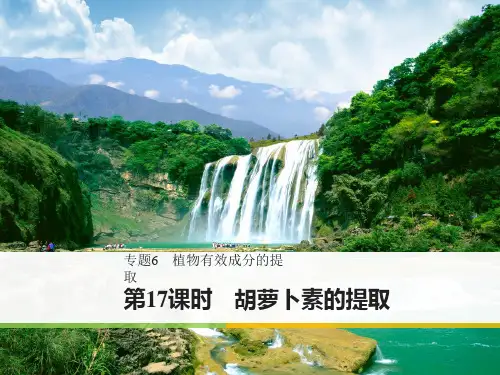 《步步高》2017-2018学年高二人教版生物选修一课件：6-2 胡萝卜素的提取