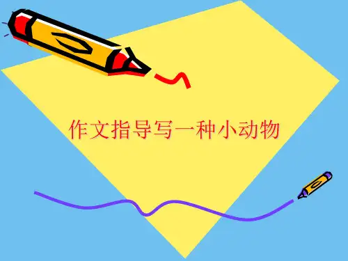 作文指导写一种小动物.最全优质PPT