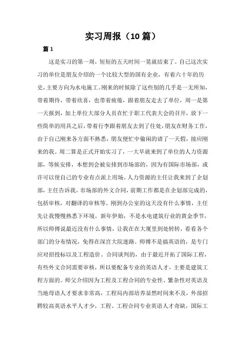 实习周报(10篇)