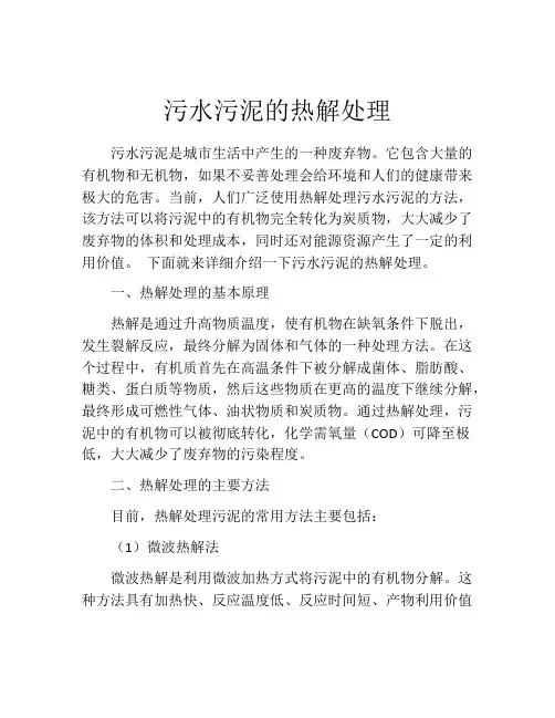 污水污泥的热解处理