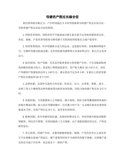 母猪的产程过长综合征