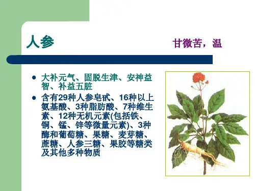 各类人参的功用和价值