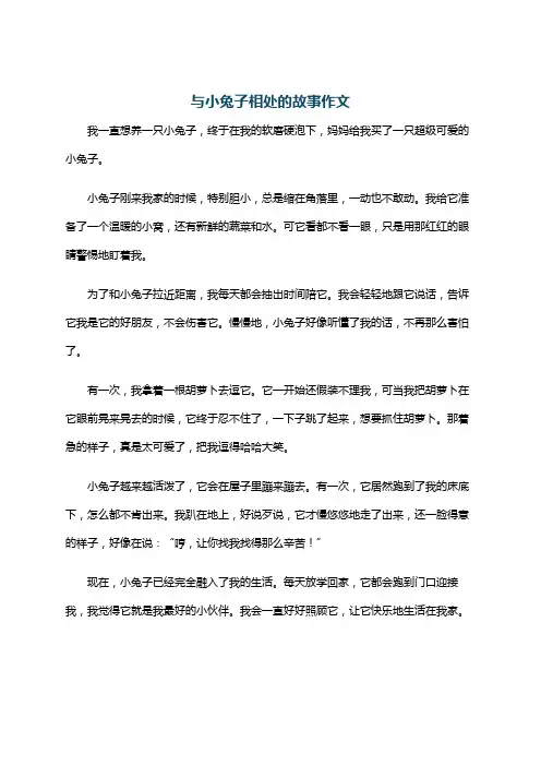 与小兔子相处的故事作文