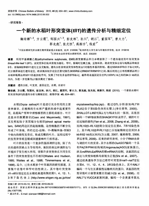 一个新的水稻叶形突变体(tll1)的遗传分析与精细定位