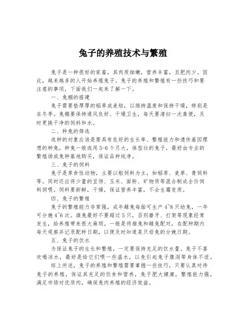 兔子的养殖技术与繁殖