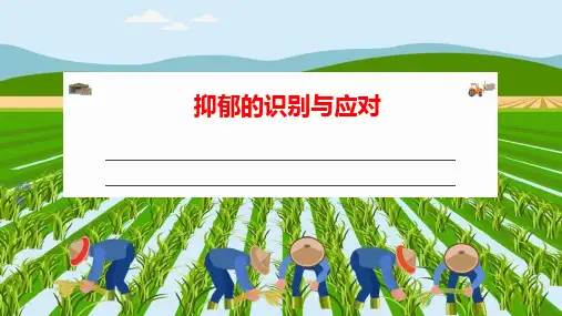 抑郁的识别与应对课件