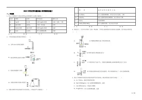 2023年中考化学专题训练-科学探究实验1