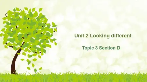 仁爱版七年级英语上册  Unit 2 Topic 3 Section D 课件