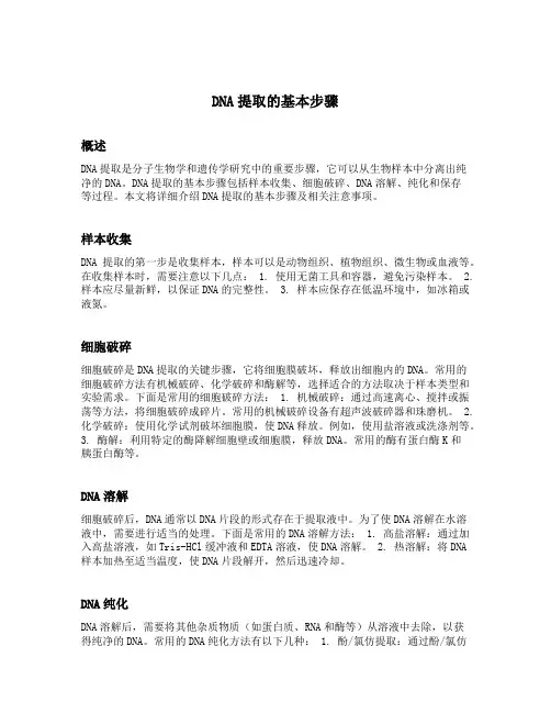dna提取的基本步骤