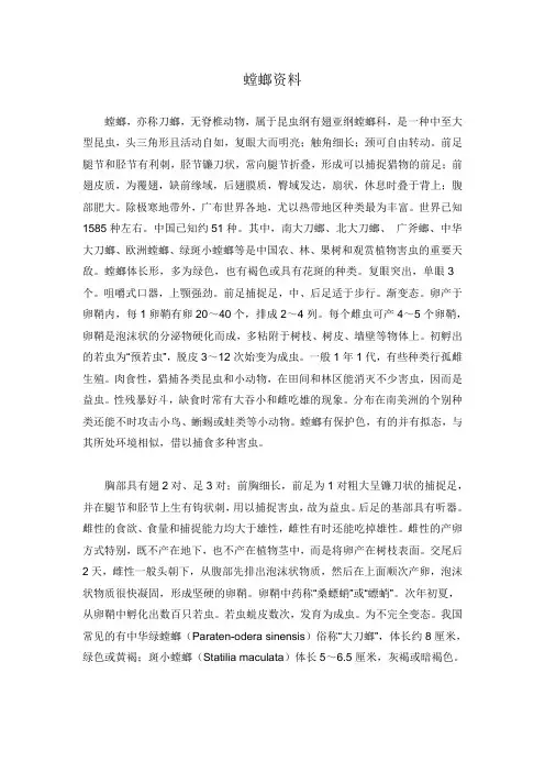 螳螂资料