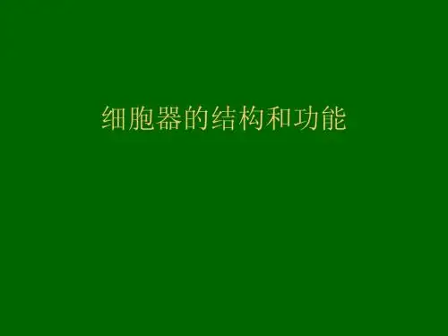 细胞器的结构和功能