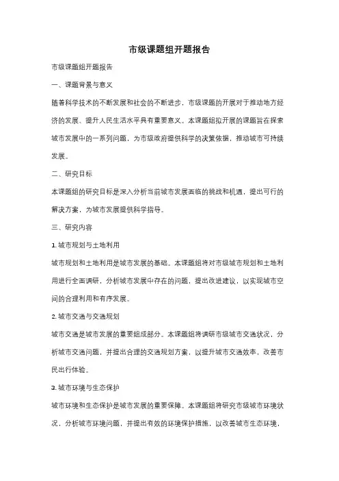 市级课题组开题报告
