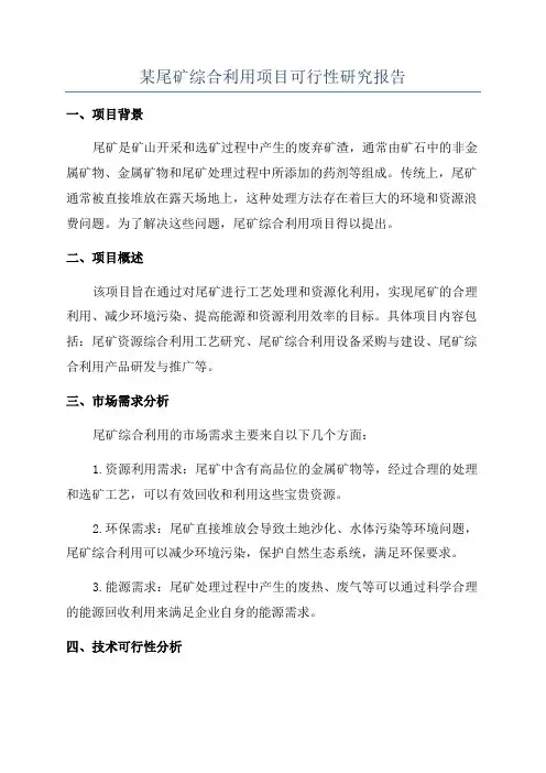 某尾矿综合利用项目可行性研究报告