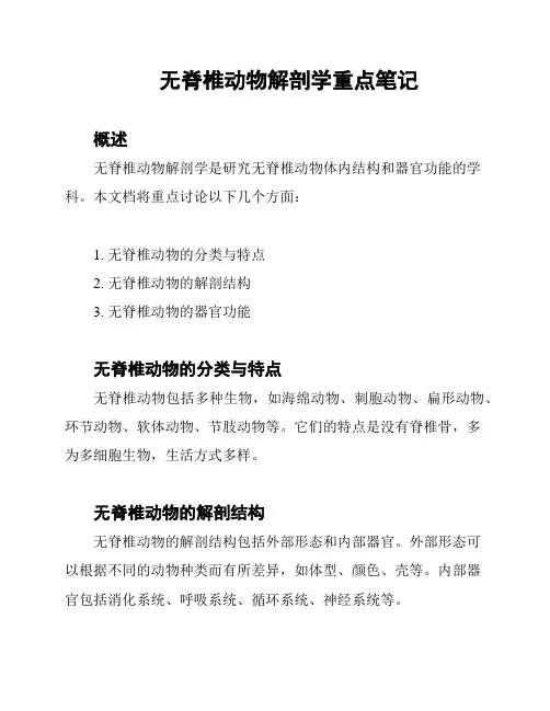 无脊椎动物解剖学重点笔记