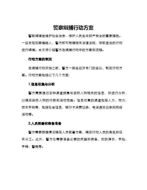 警察缉捕行动方案