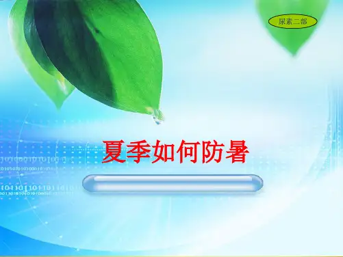 夏季防暑安全经验分享(共10张PPT)
