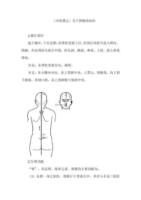 (中医图文)关于督脉的知识