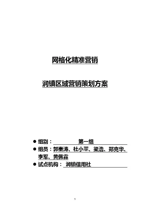 网格化精准营销策划方案
