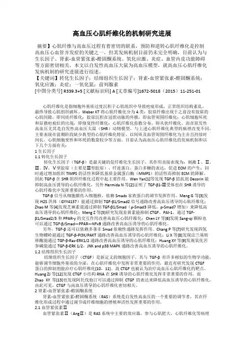 高血压心肌纤维化的机制研究进展