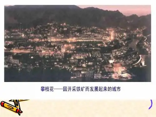产业活动的区位条件和地域联系