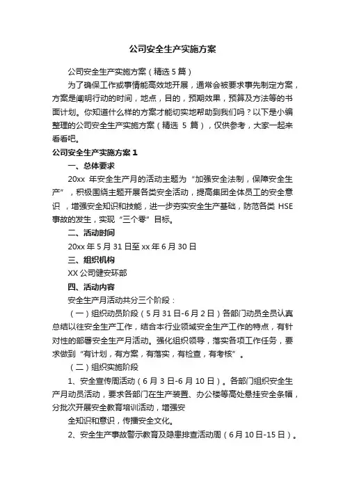 公司安全生产实施方案