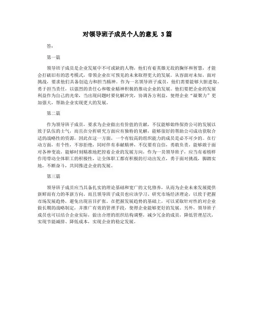 对领导班子成员个人的意见 3篇