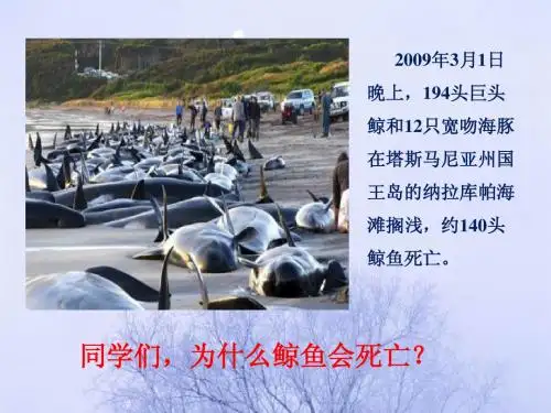 生物生存的环境[1]