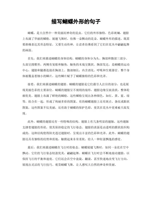 描写蝴蝶外形的句子