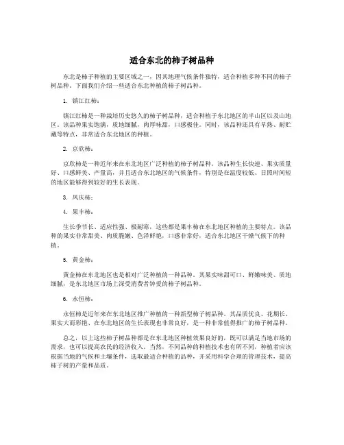 适合东北的柿子树品种