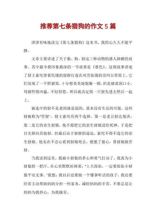 推荐第七条猎狗的作文5篇