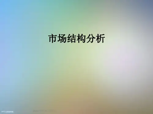 市场结构分析