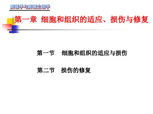 一组织损伤与修复PPT课件
